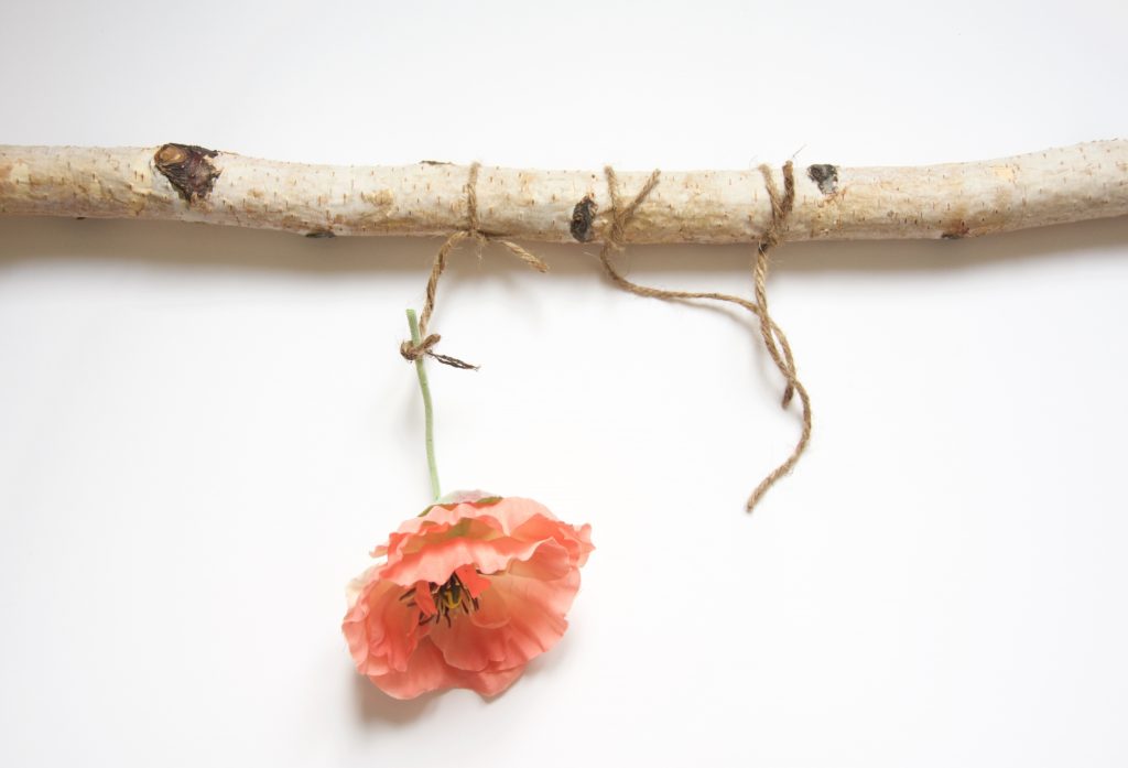 DIY floral wall hanging Tie a flower or piece of greenery to the part of twine that hangs down