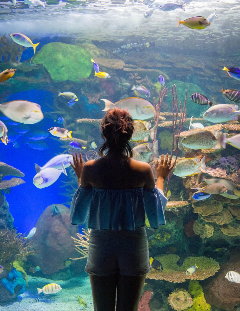 Ripley's Aquarium of Canada Toronto travel Montreal lifestyle beauty fashion blog