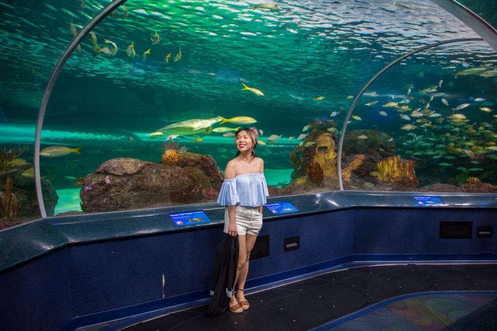 Ripley's Aquarium of Canada underwater tunnel Toronto travel Montreal lifestyle beauty fashion blog