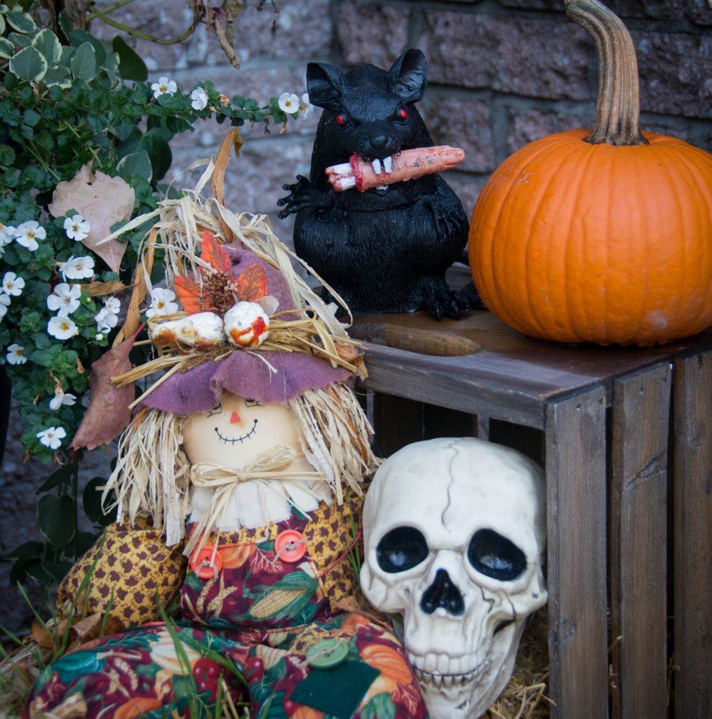 skull rat eating finger outdoor Halloween decor Montreal lifestyle blog