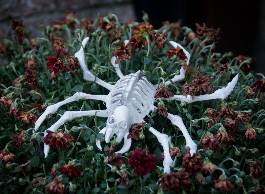 spider skeleton outdoor Halloween decor Montreal lifestyle blog