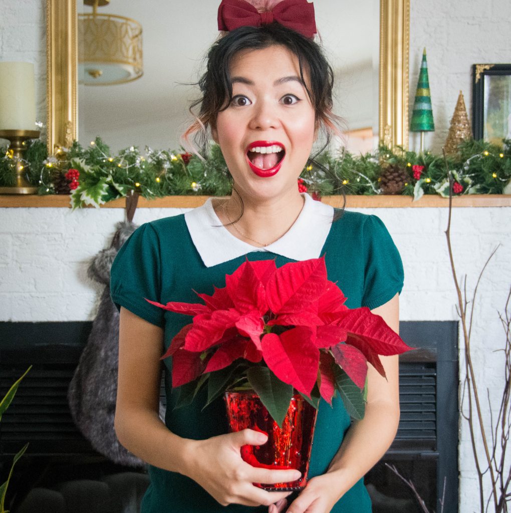 host hostess poinsettia last minute Christmas holiday gift guide Montreal lifestyle beauty fashion blog