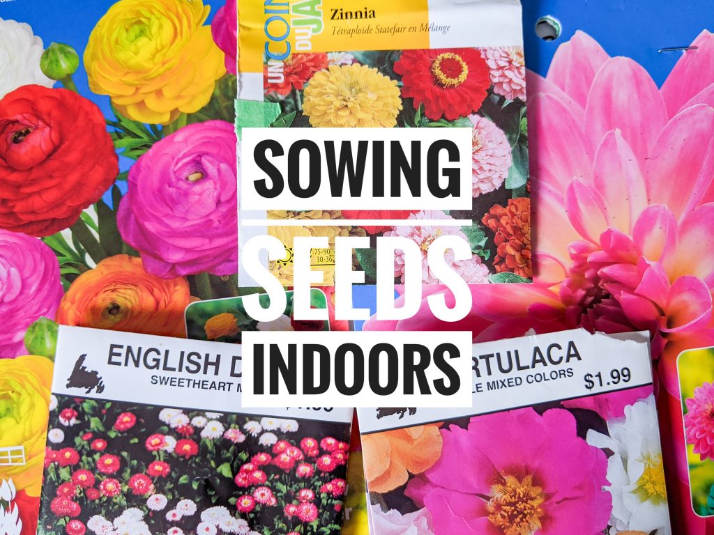 DIY sowing seeds indoors Montreal fashion lifestyle blog