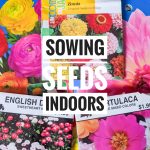 DIY sowing seeds indoors Montreal fashion lifestyle blog