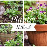 5 Easy Planter Ideas Montreal lifestyle fashion beauty blog