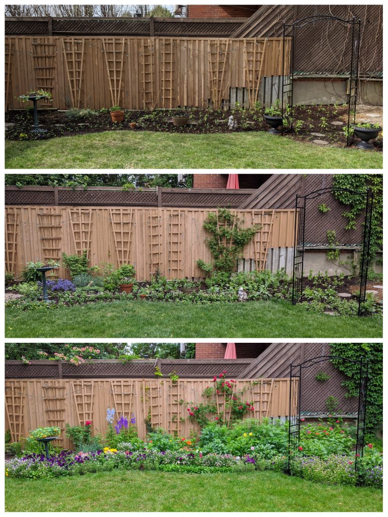 before and after border garden Montreal lifestyle fashion beauty blog