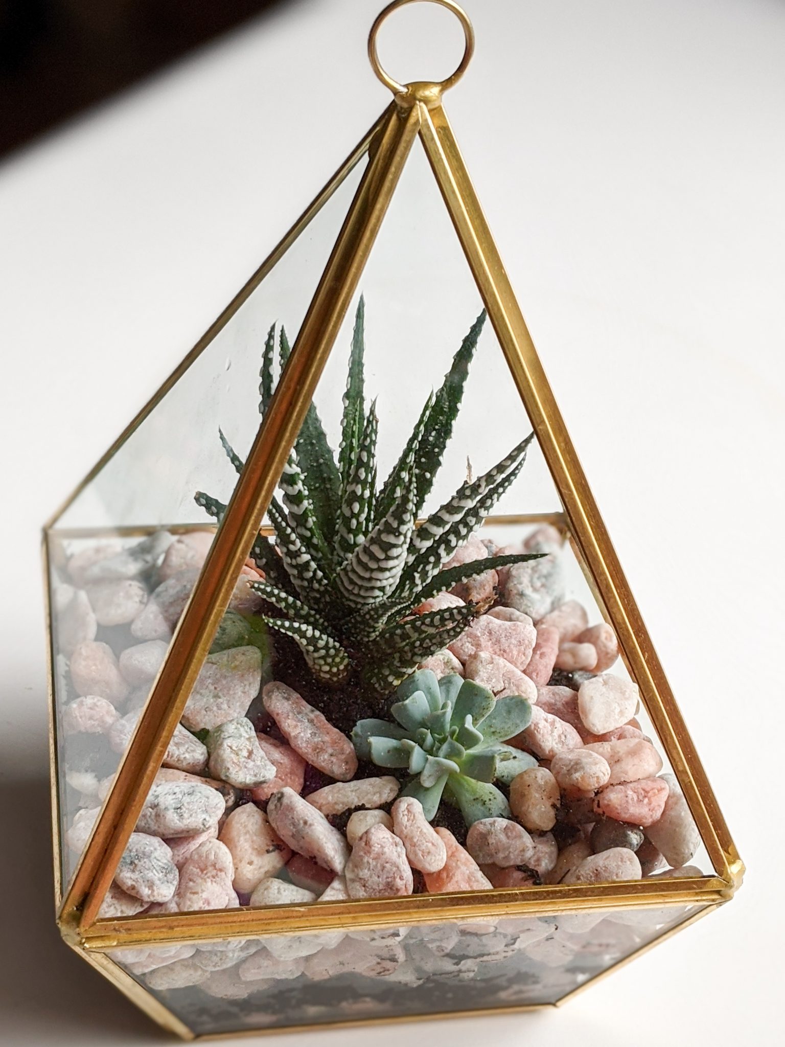 How NOT To Make A Succulent Terrarium Eclectic Spark