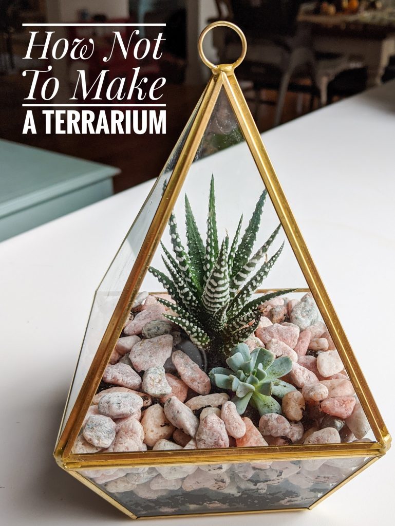 how not to make a terrarium Montreal lifestyle beauty fashion blog