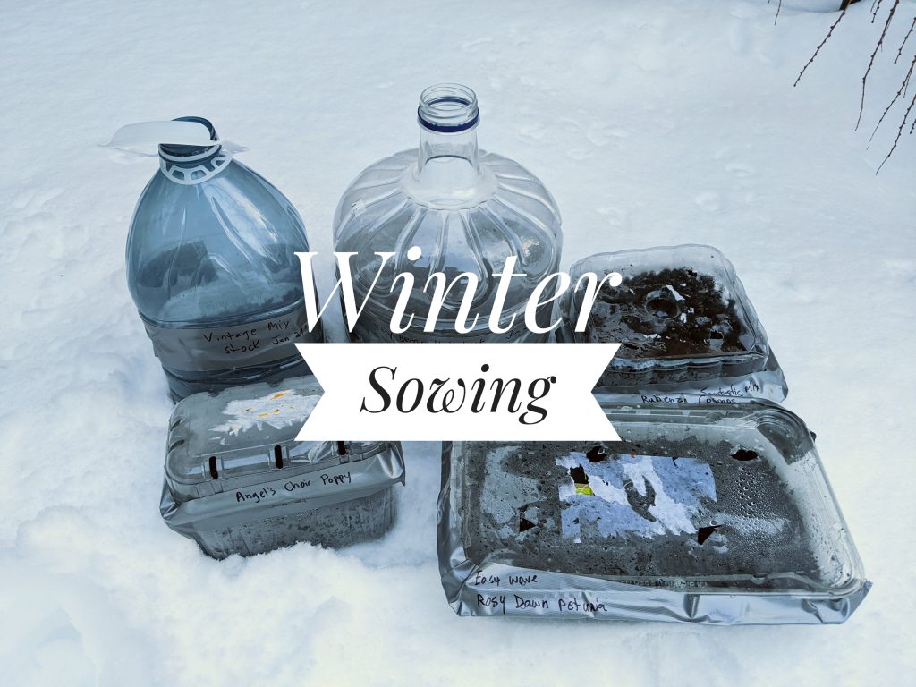 winter sowing part 1 Montreal lifestyle fashion beauty blog