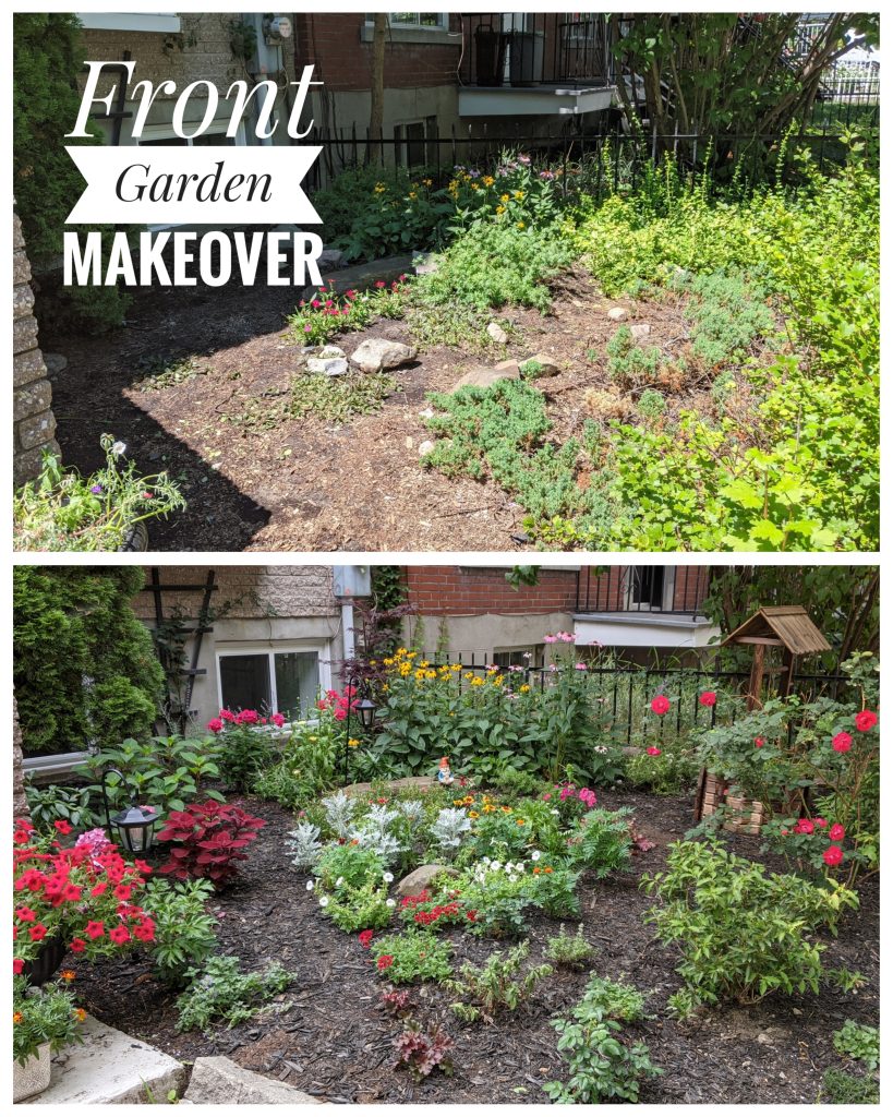 front garden makeover before and after 1